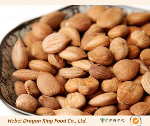 High quality Sweet Apricot kernels with 99_5 purity